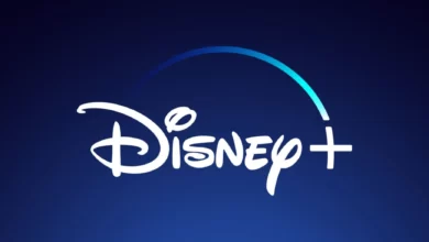 Disney Plus Hulu