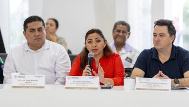 Playa del Carmen denuncia red de empresas clandestinas colgadas de postes