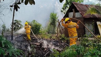 Playa del Carmen cierra la temporada de incendios 2025 con 914 incidentes