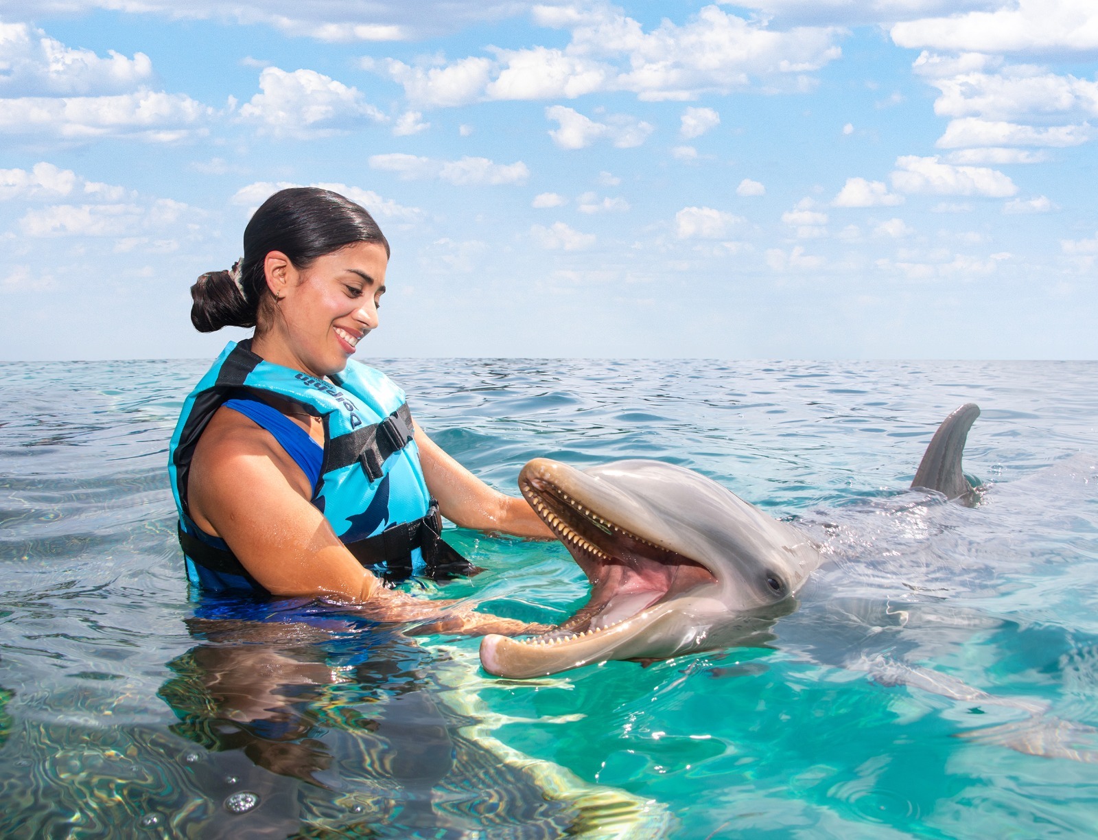 Dolphin Discovery celebra 31 años de bienestar animal y conservación