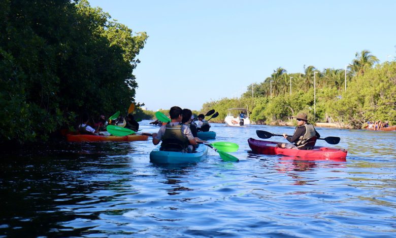 SEMA y universitarios limpian manglares de la Laguna Nichupté en kayak