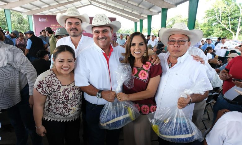 Mara Lezama entrega 3 mil 640 pavos a familias cañeras de Q. Roo