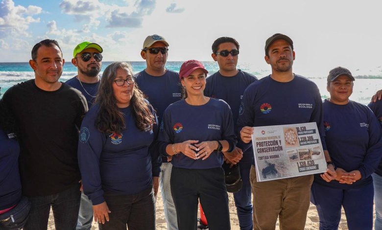 Cancún rompe récord al liberar a más de 1.1 millones de tortugas