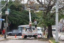 Ayuntamiento de Playa del Carmen elimina riesgo vial en la Avenida 30