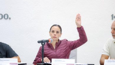 Ana Paty Peralta impulsa la creación del Instituto Municipal de Protección Animal