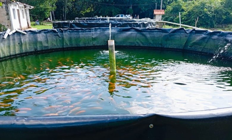 Blanca Merari impulsará acuacultura en Puerto Morelos tras exitoso 2025