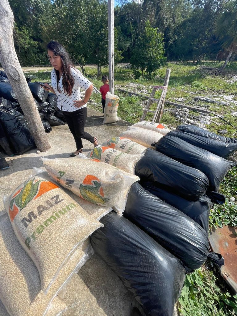 Estefanía Mercado entrega 7.5 toneladas de forraje a ganaderos locales