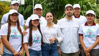 Cancún busca escuelas para plantar 1,500 árboles nativos este 2026