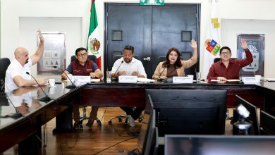 Avanza en el Congreso iniciativa contra el ciberacoso sexual infantil.