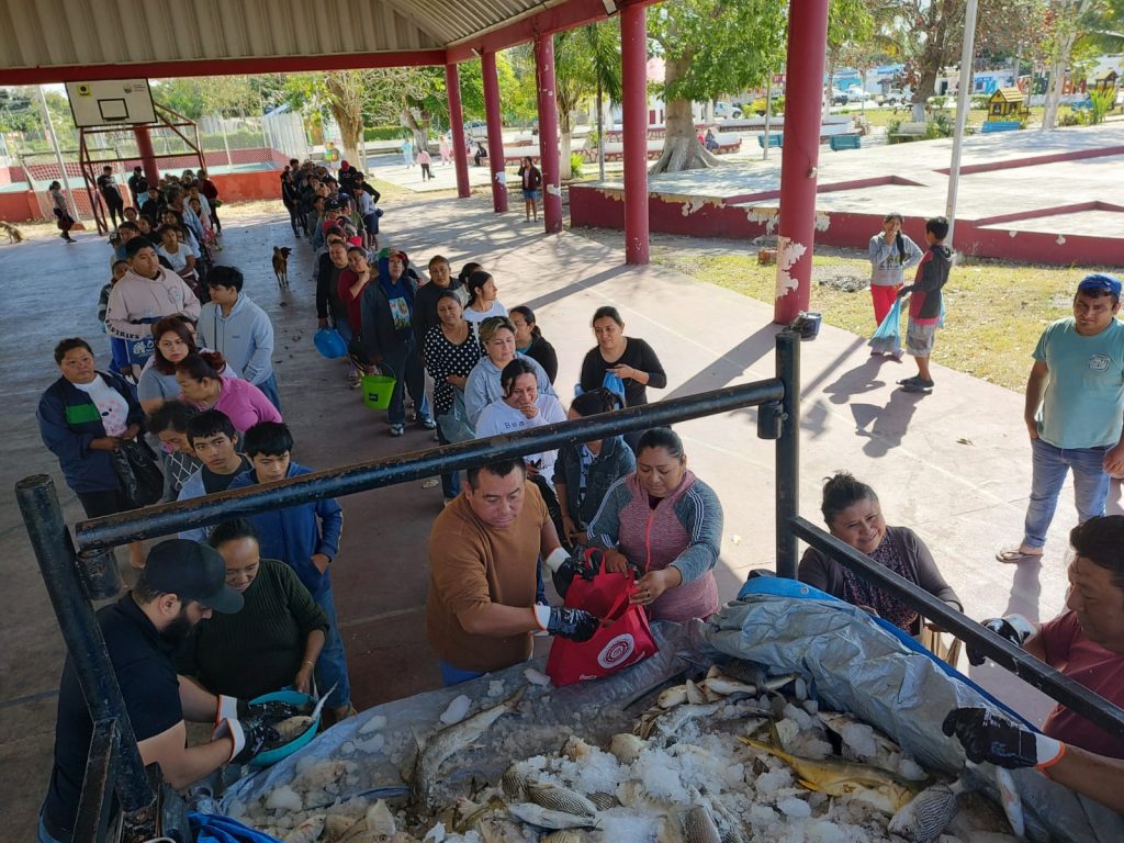 ¡Pescado fresco para todos! Nivardo Mena fortalece apoyo alimentario