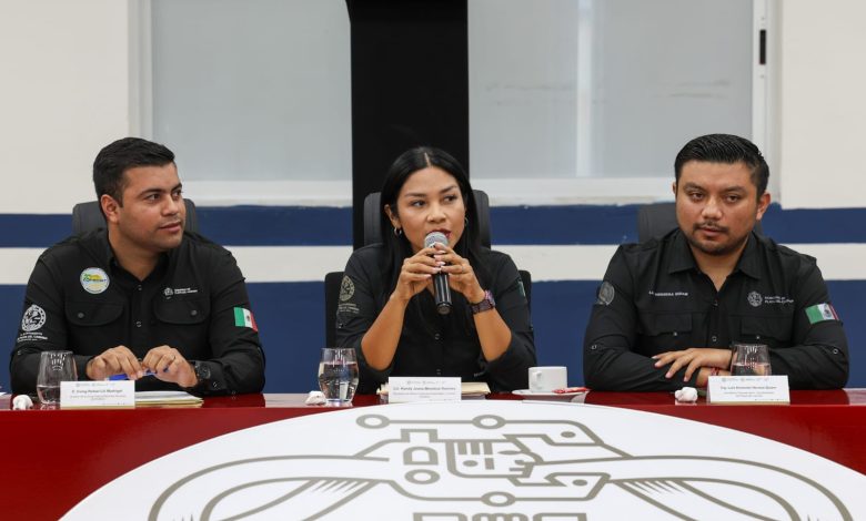 Playa del Carmen duplicará barreras marinas contra sargazo en 2026