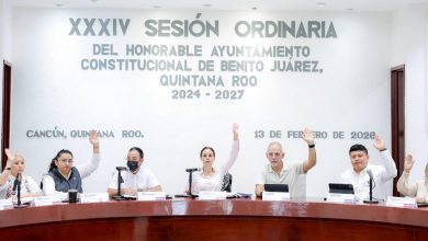 Cancún tendrá Instituto de Bienestar Animal y nuevas leyes de inclusión