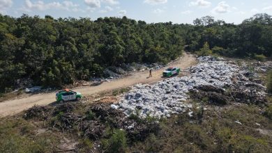 Ana Paty Peralta clausura basurero clandestino junto al Aeropuerto de Cancún