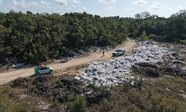 Ana Paty Peralta clausura basurero clandestino junto al Aeropuerto de Cancún