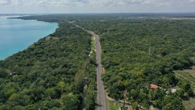¡Viajes más seguros! Mara Lezama entrega obras en la carretera de Bacalar