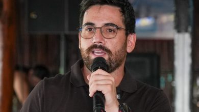 ¡Hagamos historia! SEMA convoca a proteger los árboles notables de Quintana Roo