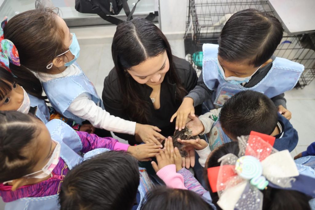 Niñez de Isla Mujeres aprende el valor del respeto animal con Atenea Gómez