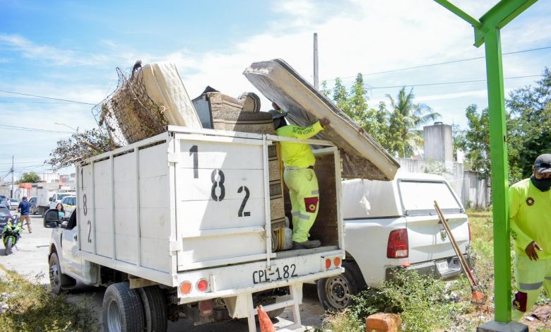 ¡Parque recuperado! Pablo Gutiérrez atiende reporte en la SM 223