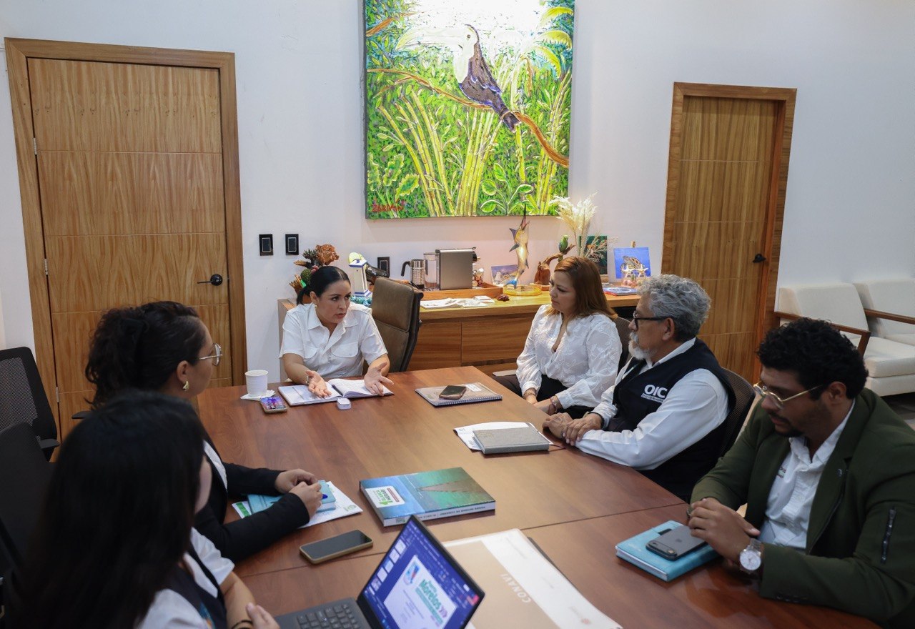 Puerto Morelos presume avances en transparencia: reportan cero observaciones en auditorías